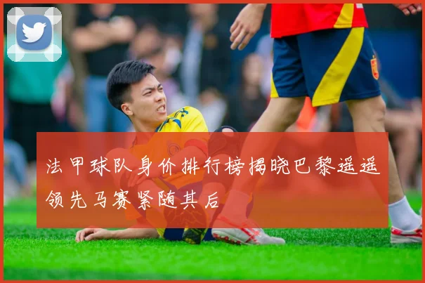 法甲球队身价排行榜揭晓巴黎遥遥领先马赛紧随其后