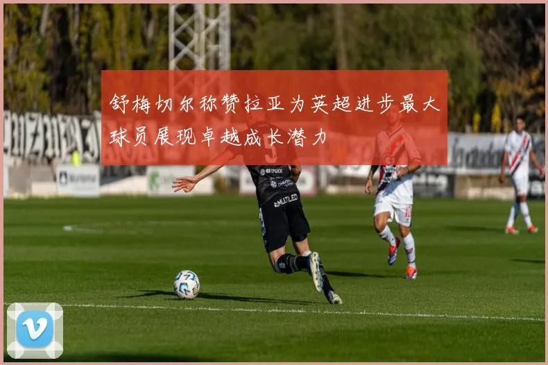 舒梅切尔称赞拉亚为英超进步最大球员展现卓越成长潜力