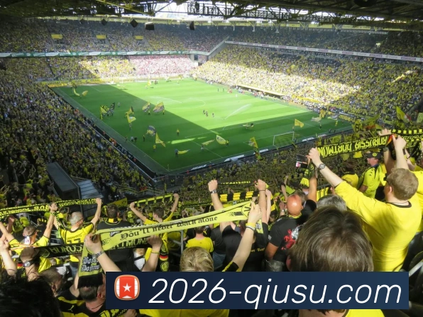 球速体育品牌故事